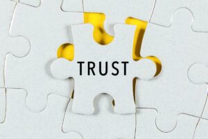 trust puzzle